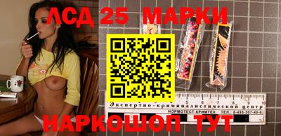 индика Лесосибирск