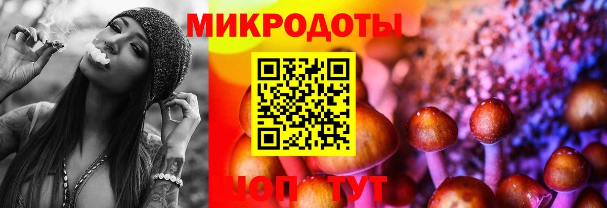 Псилоцибиновые грибы Cubensis  Вход с VPN  Углич 